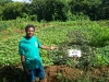 A Makira Lead Farmer Shows the Way