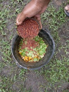KGA trains farmers in simple methods of feed mixing using locally sourced ingredients or ingredients that farmers can grow themselves. The results to date are promising. 