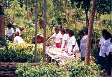 Visitors to the  PMN training garden