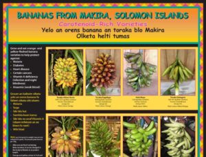 BANANA poster feature