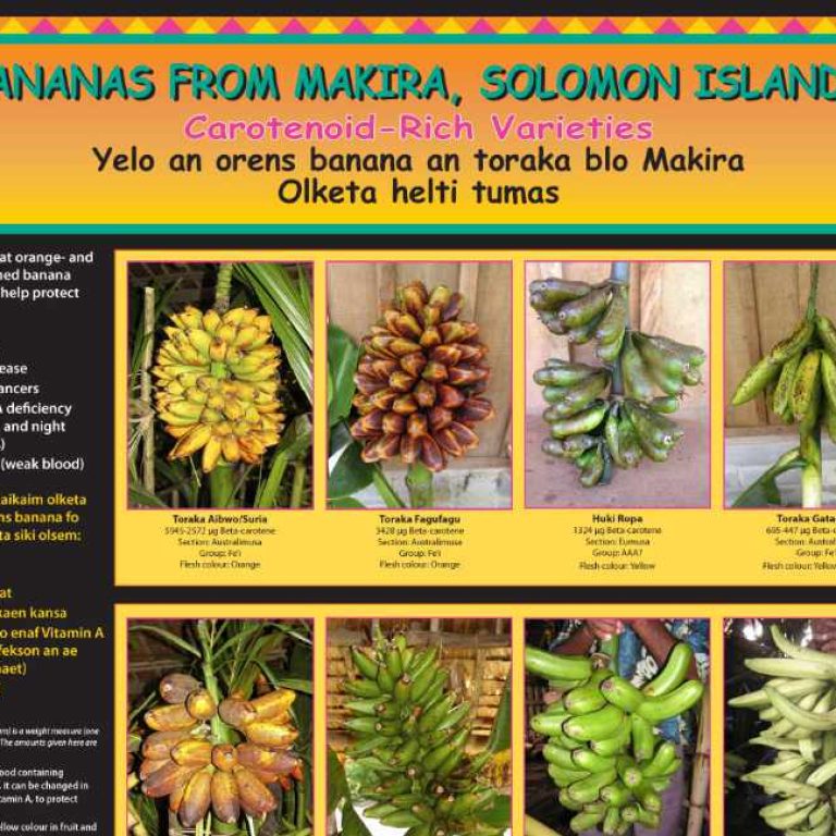 BANANA poster feature