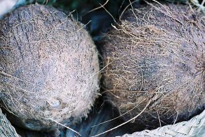 Coconuts