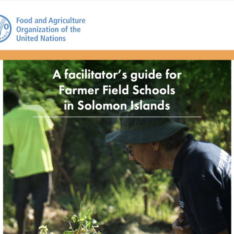 Facilitators Guide to FFS