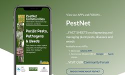Pestnet-website