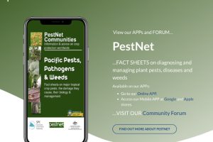 Pestnet-website