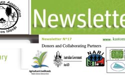 PMN newsletter no 17