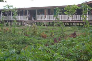sasamuqa hospital garden