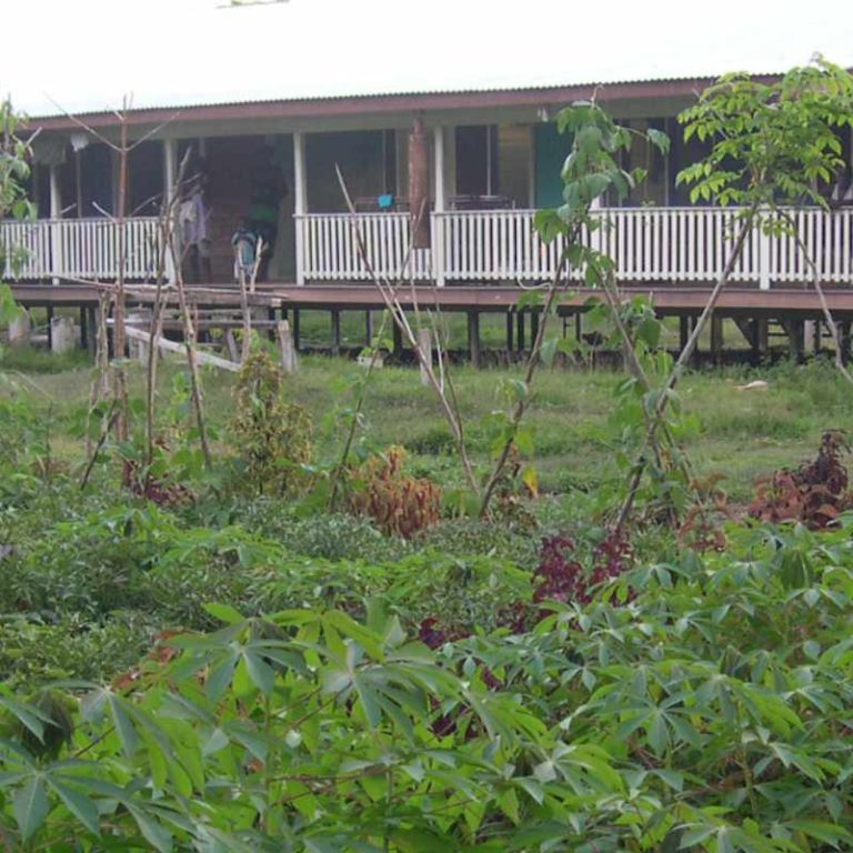 sasamuqa hospital garden