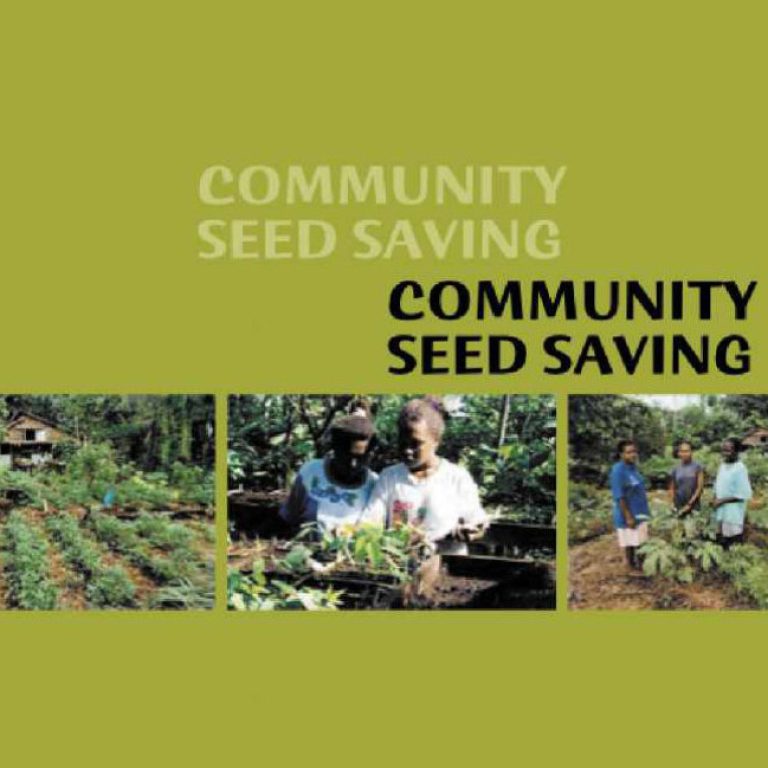 Seed Training cover
