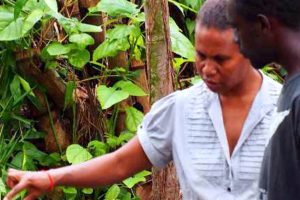 KGA archived website