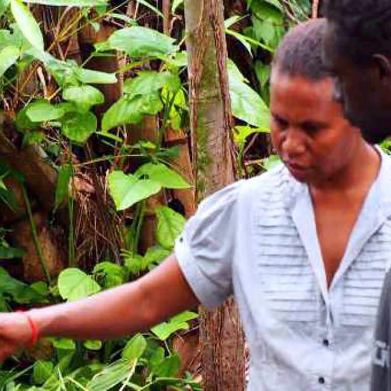 KGA archived website